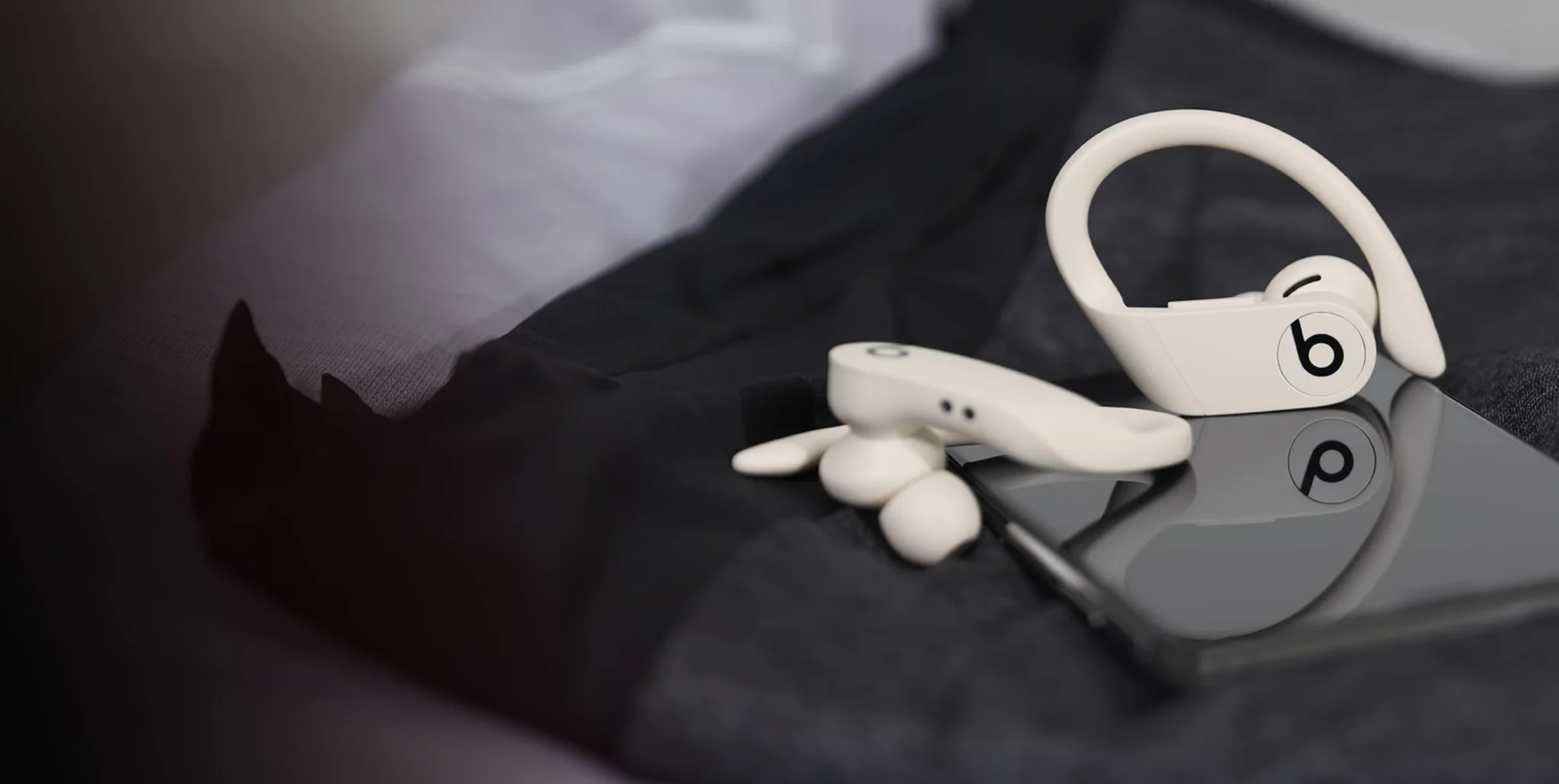 Beats Powerbeats Pro-a2