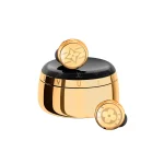 Louis Vuitton Horizon Light Up Earphones - Golden